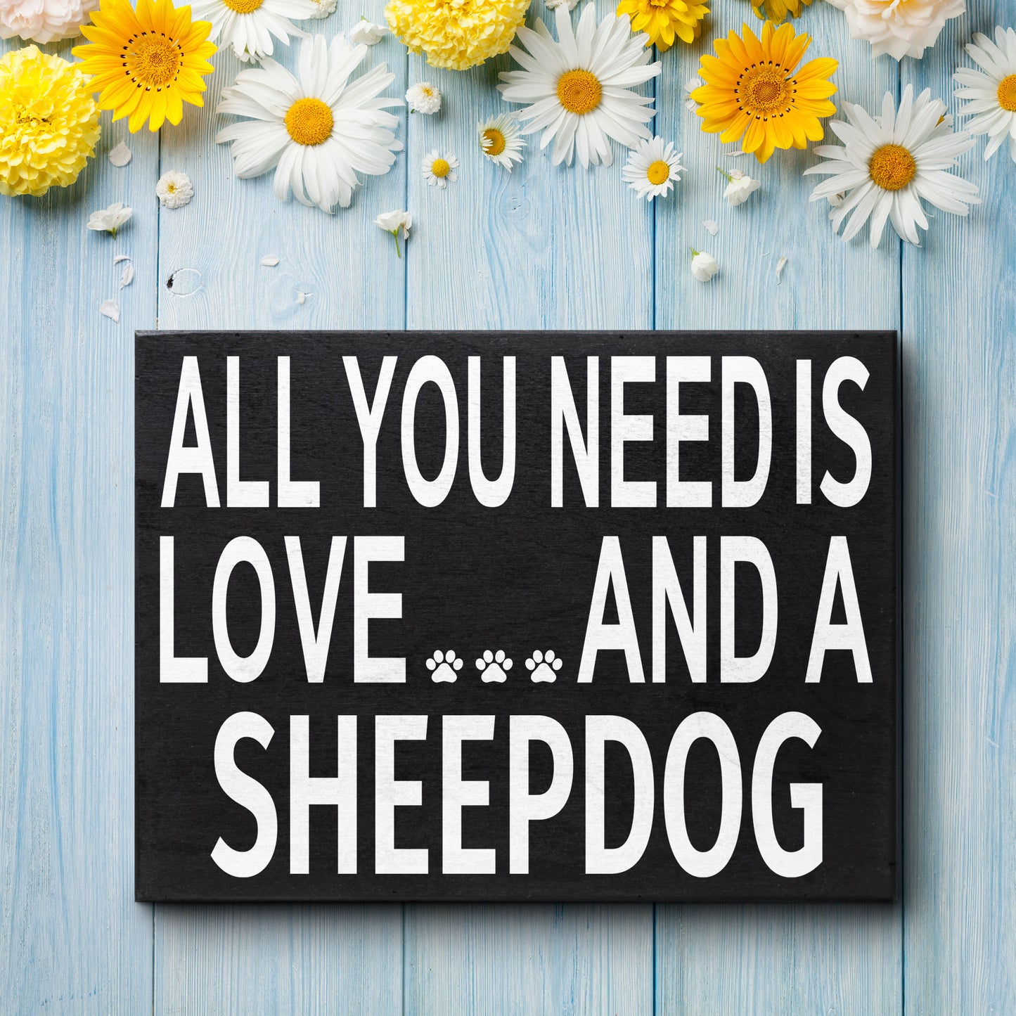 All You Need is Love and a Sheepdog