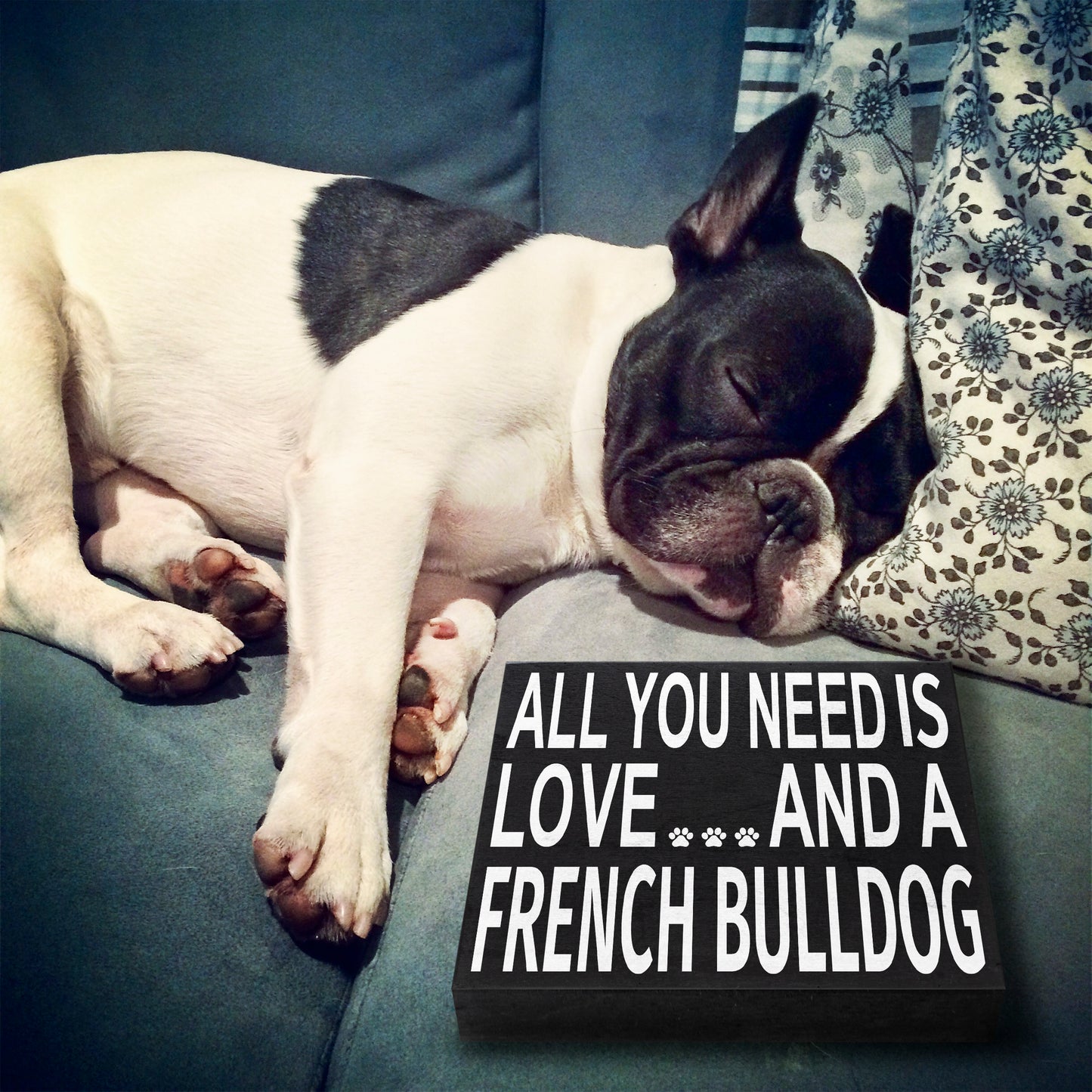 JennyGems French Bulldog Sign, All You Need Is Love and a French Bulldog Sign, 8x6 Inches, French Bulldog Mom, French Bulldog Gifts, Frenchie Dogs, French Bulldog Decor, American Made