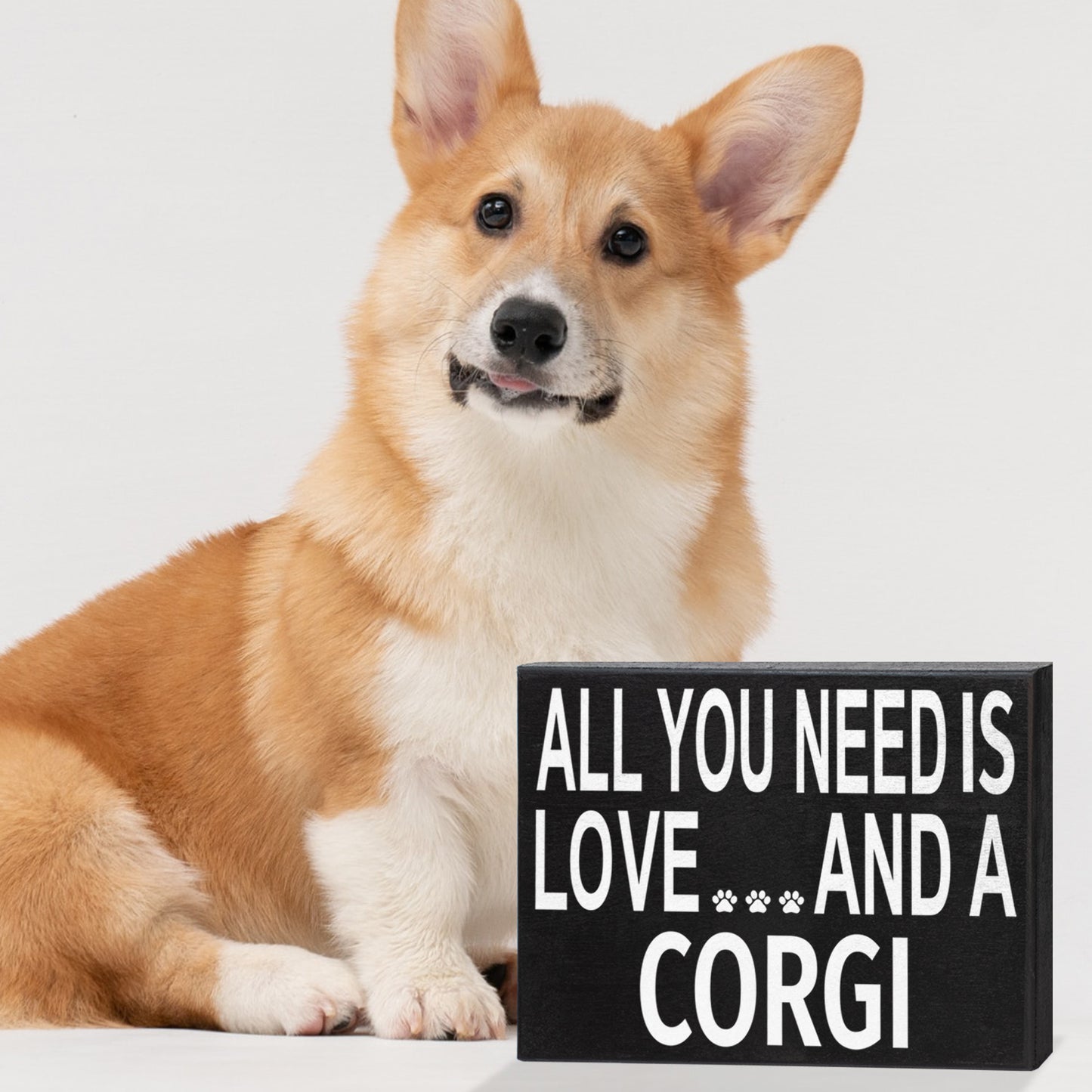 JennyGems All You Need Is Love And A Corgi Sign, Corgi Gift, Corgi Decor, Corgi Wall Hanging and Box Sign, Made in USA, 8x6 Inches