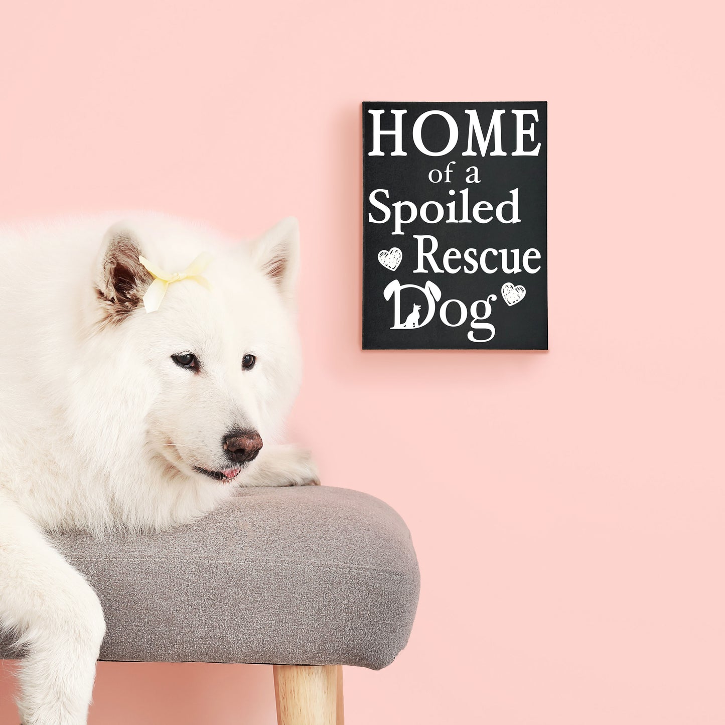 JennyGems Dog Accessories, Home Of A Spoiled Rescue Dog, Home Decor, Gift For Mom, Dog Stuff, Puppy Supplies, Cool Stuff, Desk Decor, Housewarming Gift