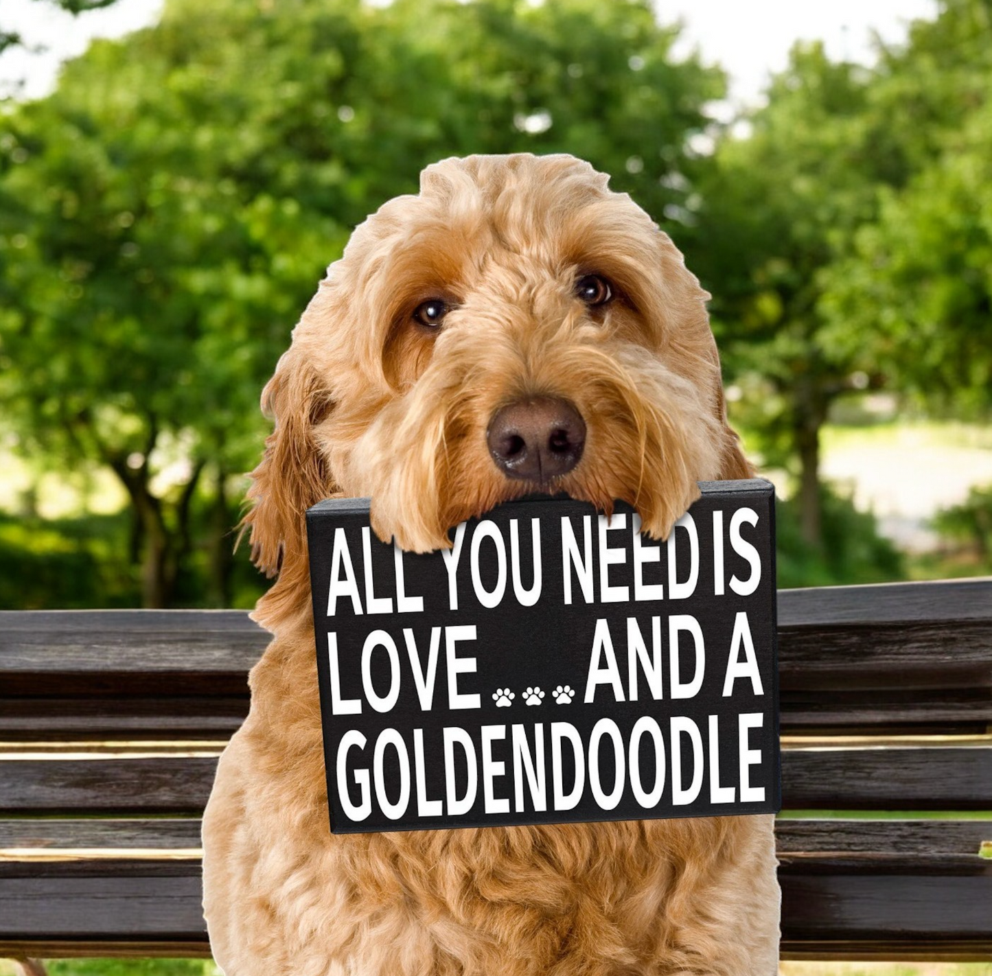 All You Need is Love and A Goldendoodle
