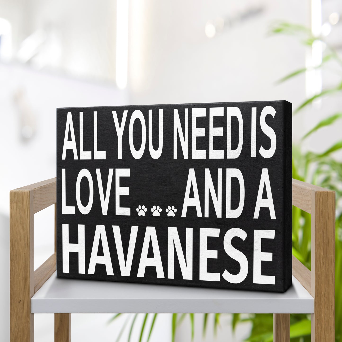JennyGems All You Need is Love and A Havanese | Gifts for Havanese Moms and Owners | Wood Sign