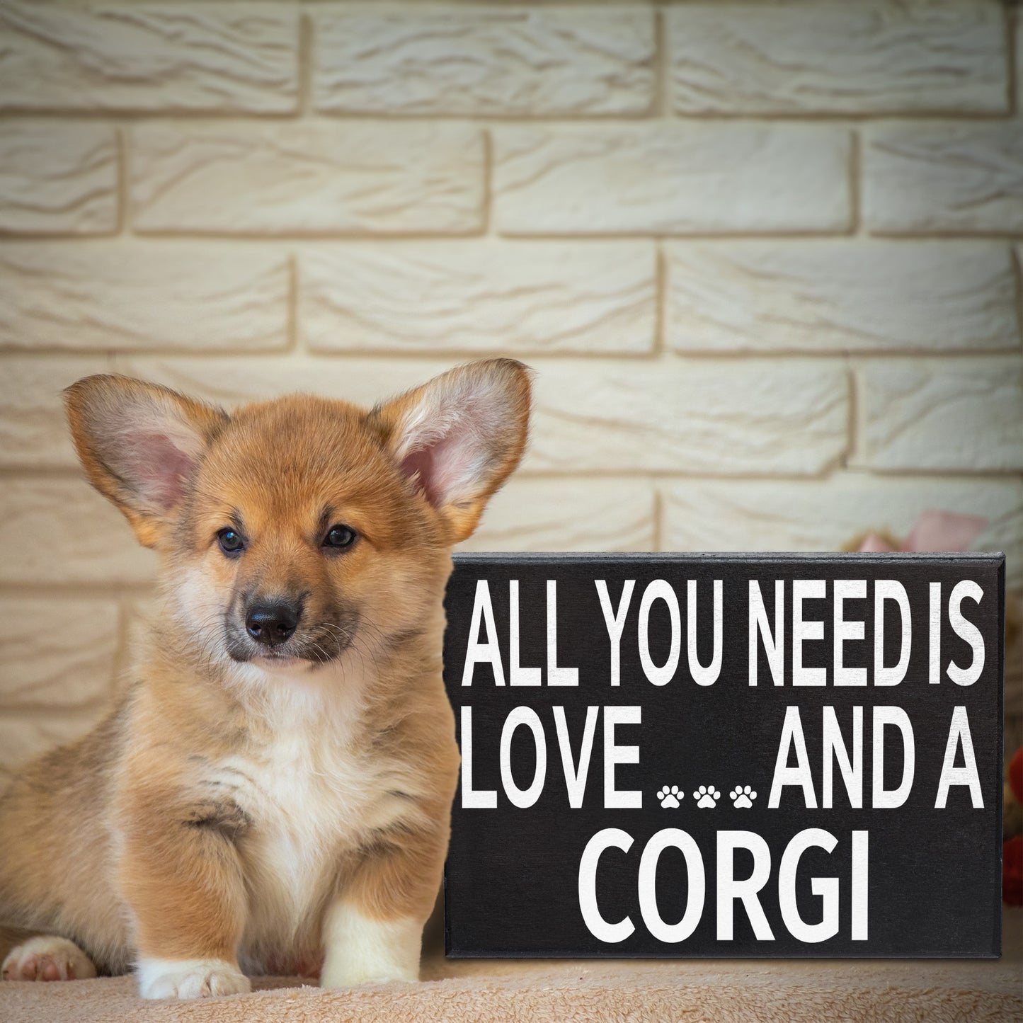 JennyGems All You Need Is Love And A Corgi Sign, Corgi Gift, Corgi Decor, Corgi Wall Hanging and Box Sign, Made in USA, 8x6 Inches