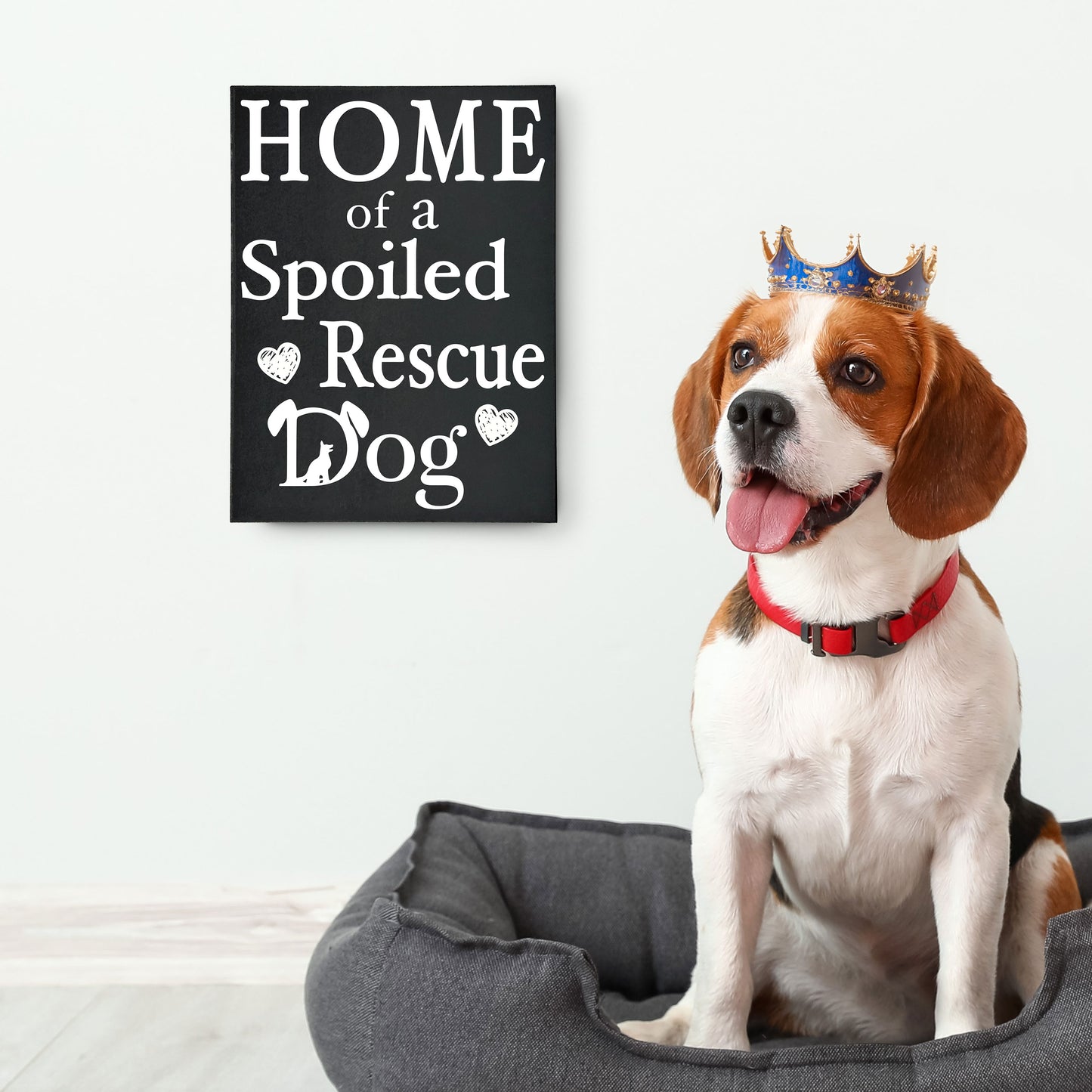 JennyGems Dog Accessories, Home Of A Spoiled Rescue Dog, Home Decor, Gift For Mom, Dog Stuff, Puppy Supplies, Cool Stuff, Desk Decor, Housewarming Gift