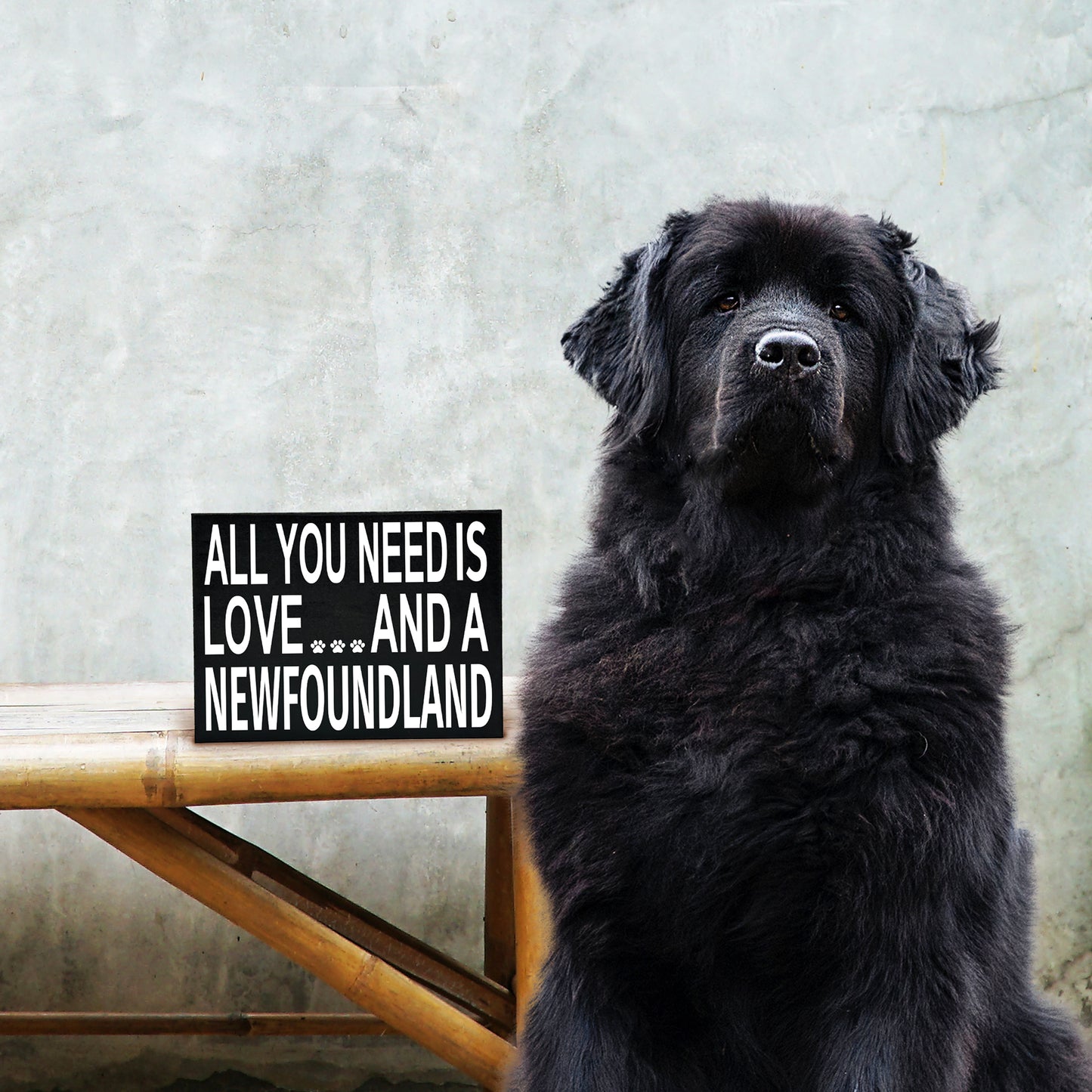 JennyGems All You Need is Love and a NewFoundland Dog | Wooden Stand Up Box Sign | Newfie Dog | New Foundland Gift Series | Newfie Moms
