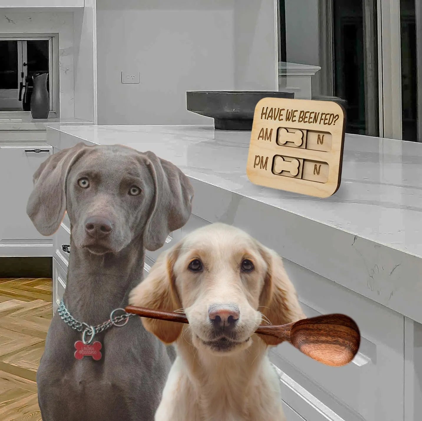 Did You Feed the Dogs? AM/PM Flip Sign Magnet – Dog Feeding Tracker, Feeder Reminder, Daily Pet Care Chart