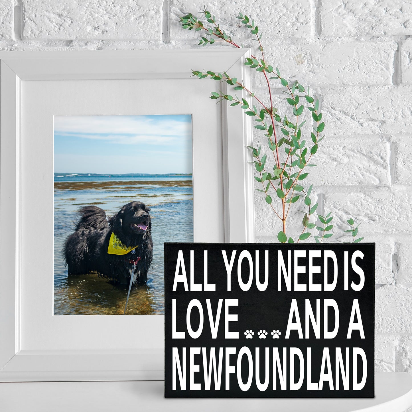 JennyGems All You Need is Love and a NewFoundland Dog | Wooden Stand Up Box Sign | Newfie Dog | New Foundland Gift Series | Newfie Moms